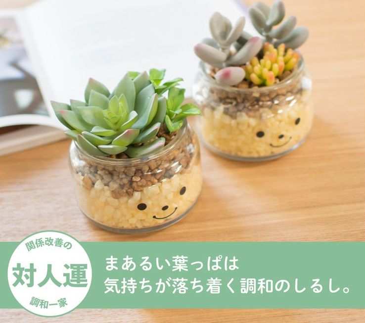 日本 KISHIMA - CT觸媒 開運消臭仿真多肉盆栽-防小人-Adele (S(6.5x7x11cm))