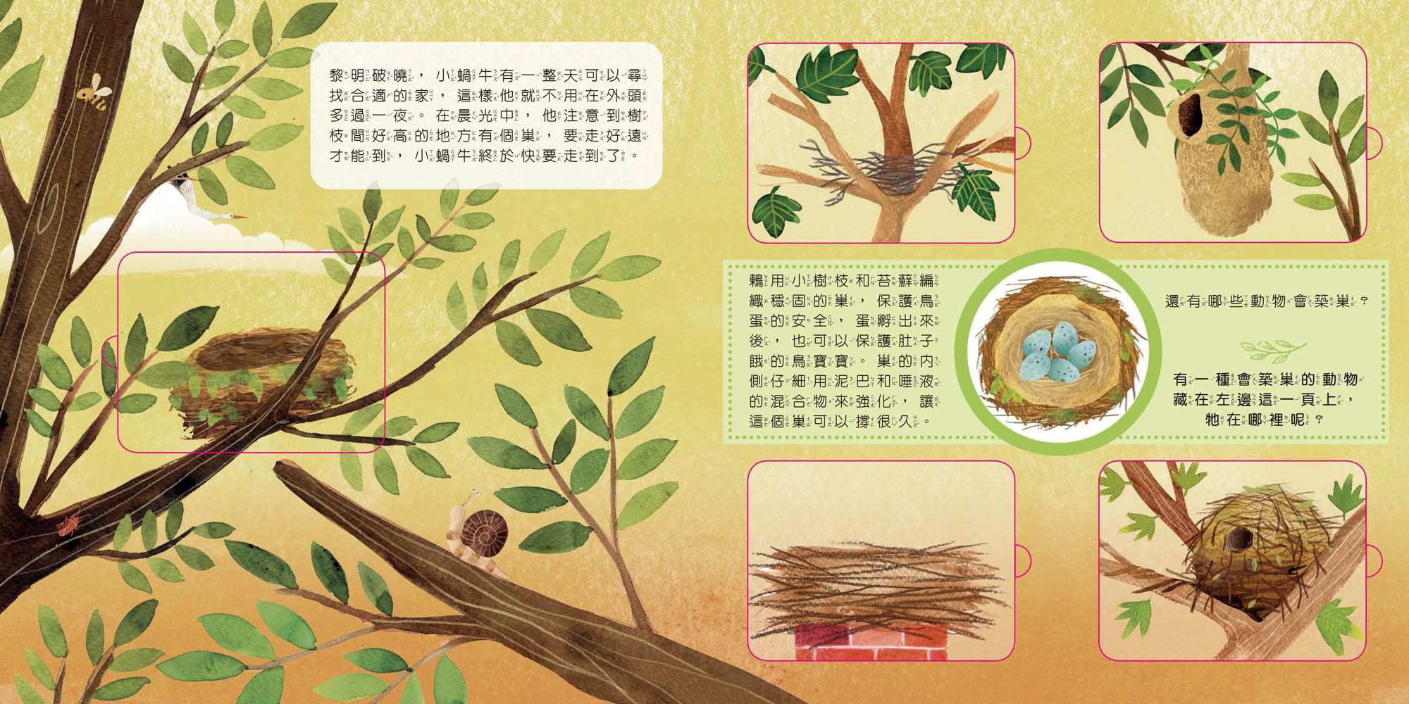 動物小知識翻翻書：這是誰的家？