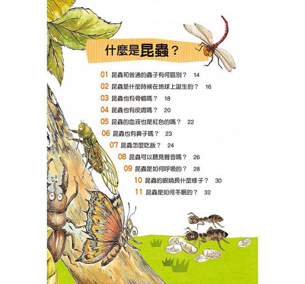 昆蟲大生態-10萬個小知識(1)