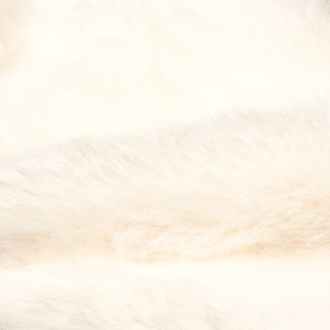 akachan honpo - 圍巾-動物-白色