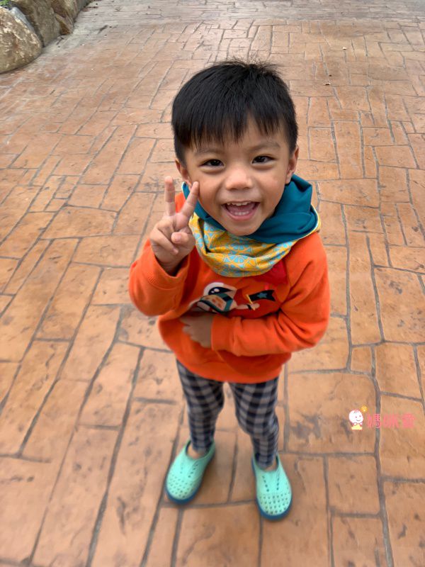 英國 redurchin 有機棉脖圍 / 帽圍 / 披肩