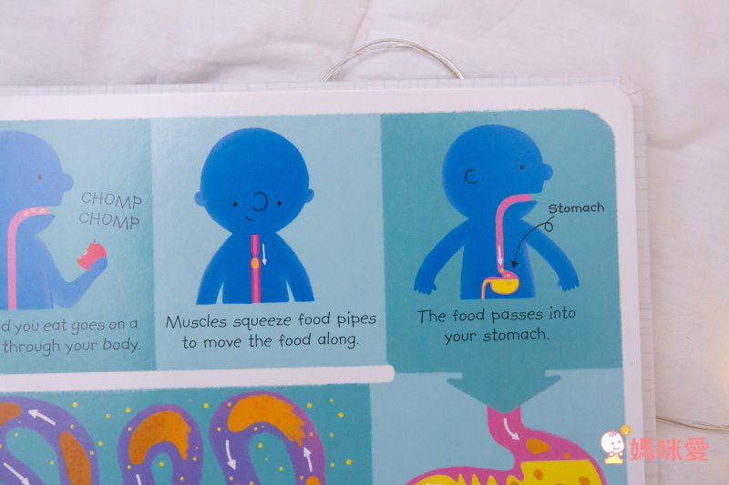 來自英國 最暢銷童書出版社【Usborne】知識遊戲書 ★ 展開超大「大圖大頁百科書」