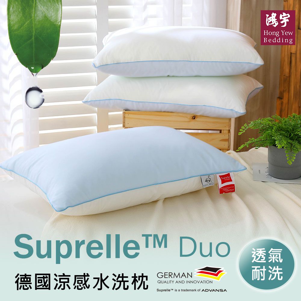 鴻宇 HongYew - 德國科技涼感水洗枕 (單顆)-48X74cm