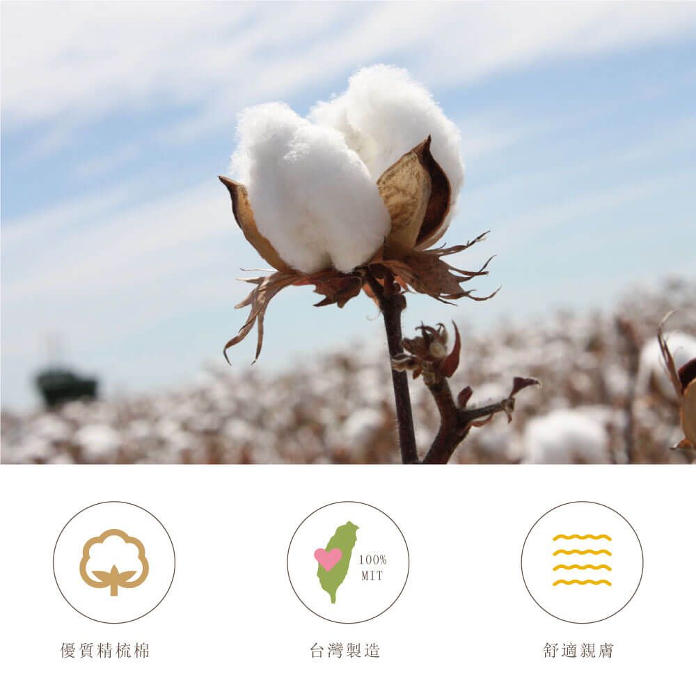 貝柔 Peilou - 兒童精梳棉細針學生襪(6雙組)-短襪-白色