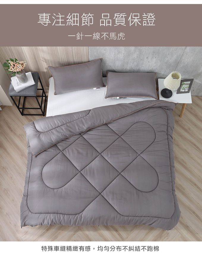 鴻宇 HongYew - 石墨烯能量冬被 熱導科技 保暖 保健 健康被-雙人6x7