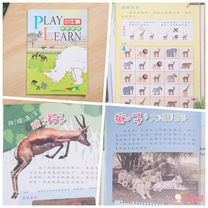 小牛頓科學教育有限公司 - PLAY&LEARN套書-平裝/附注音/貼紙+紙卡-全彩 (5-8歲)-全套二冊