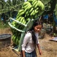 用戶頭像
