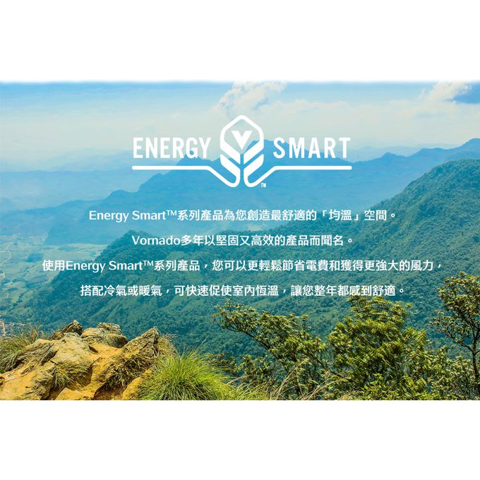 Vornado - DC直流渦流空氣循環機-白色