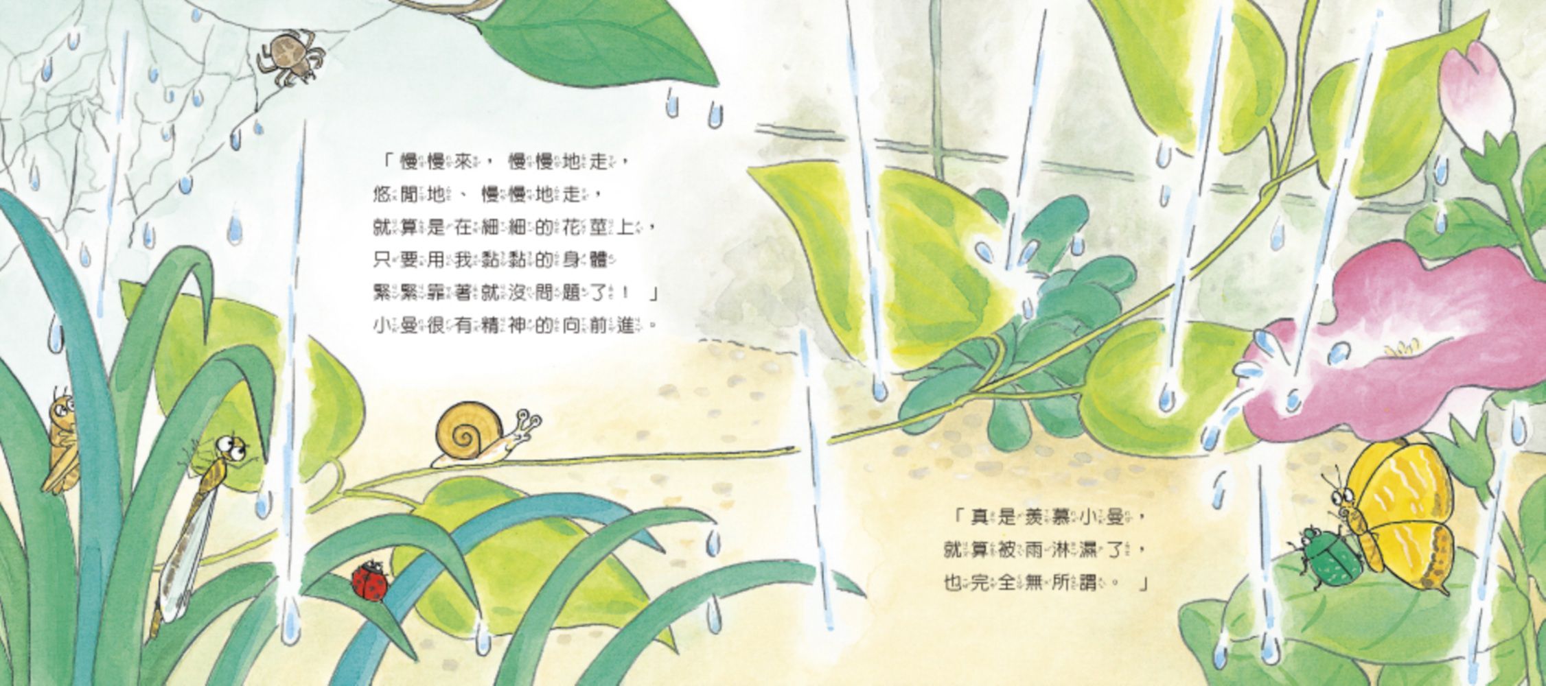 【認識蟲蟲世界】-小蝸牛愛下雨