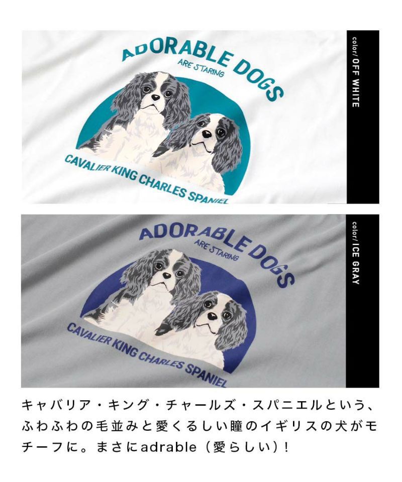 日本 zootie - 棉混落肩狗狗印花短T-白