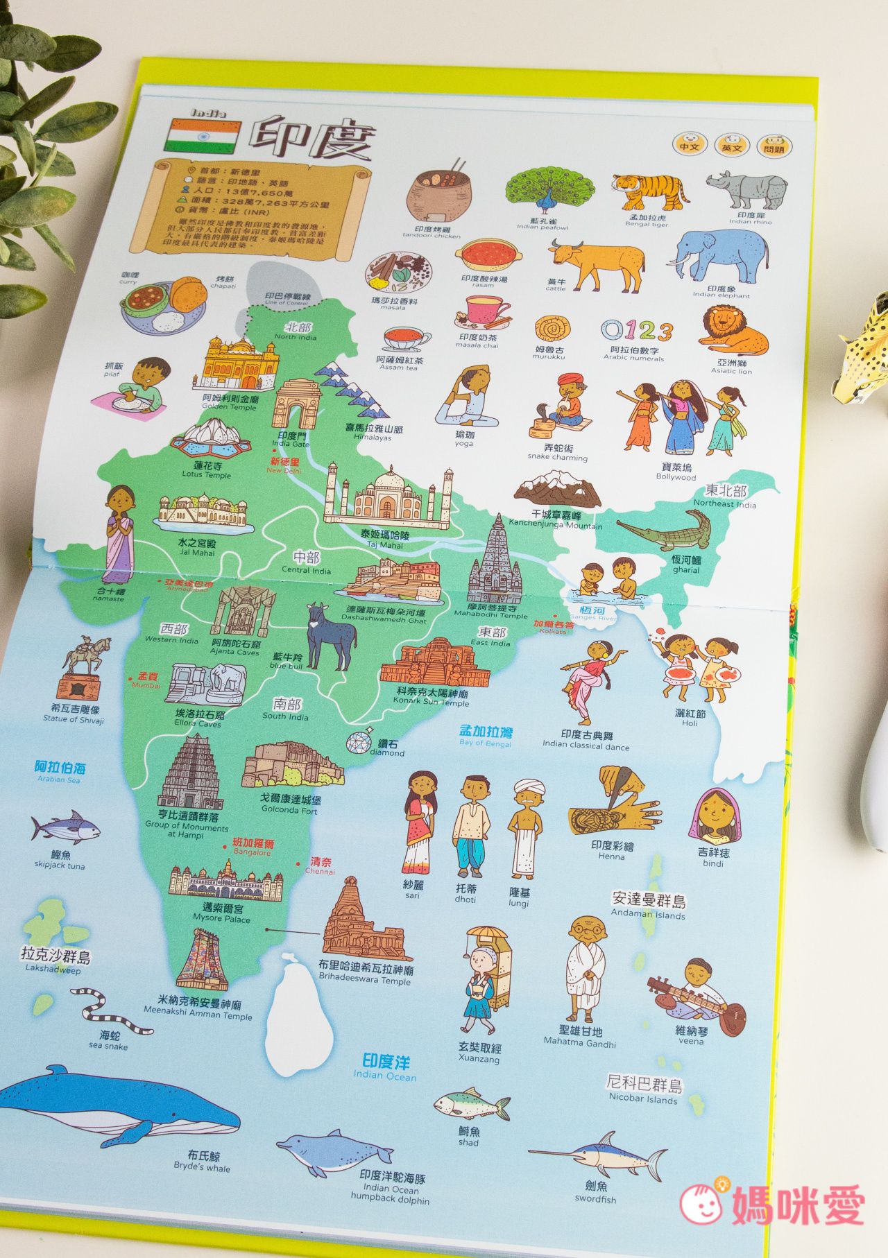 ＼下殺59折起／FOOD超人多重點讀筆套組，培養世界觀！