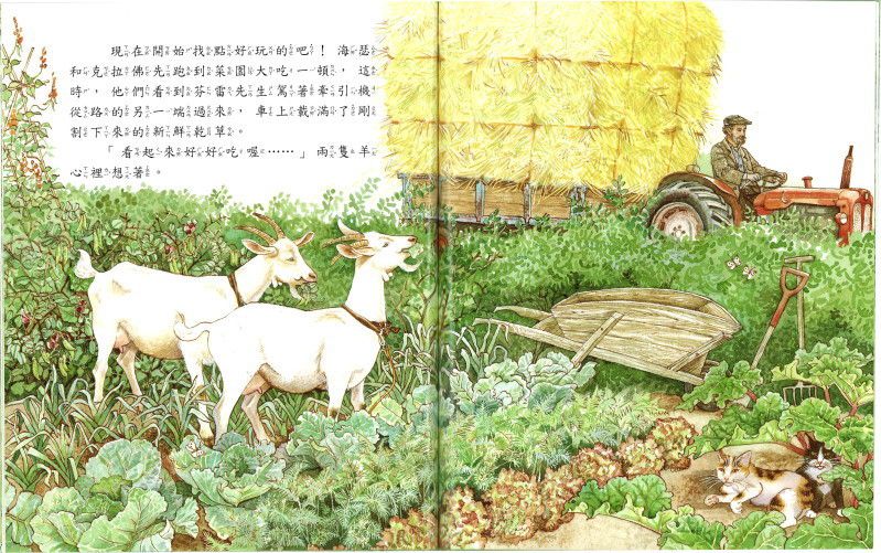 風境農場動物繪本-精裝6冊、故事點讀面板、導讀手冊-精美書架式書盒