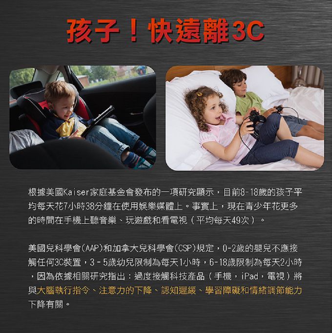 荷蘭BS - 滾珠夾夾夾