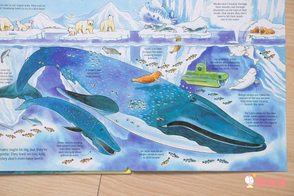 最佳兒童知識書籍♛泰晤士報讚譽【 I Wonder Why兒童百科大全套20冊】單本90元起！科學素養從小培養！