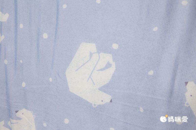 日本小泉 - 節電對策冷感薄毯-北歐花草-薄荷 (100x140cm)