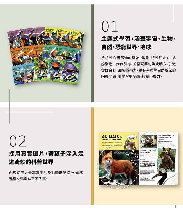 Disney 迪士尼 - 迪士尼探索世界百科全書套裝(英文版18冊+迪士尼收納盒) (30.1x30x22.5cm)