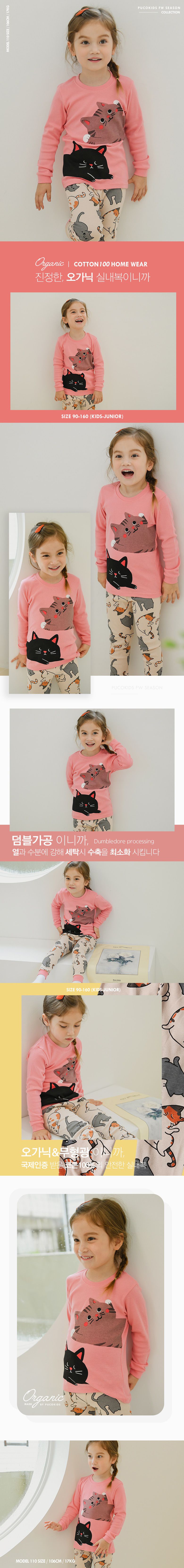 韓國 Puco - 30支有機棉長袖家居服-懶洋洋貓咪