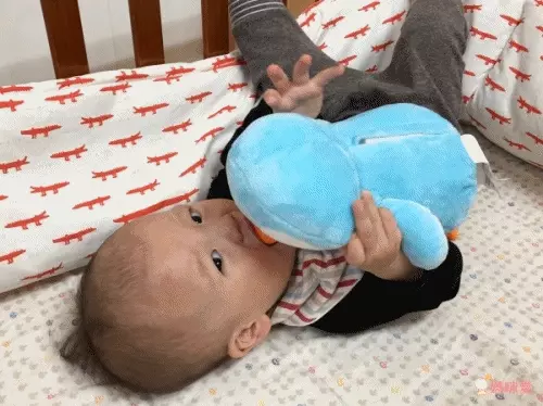 winfun - 安撫音樂小企鵝-藍