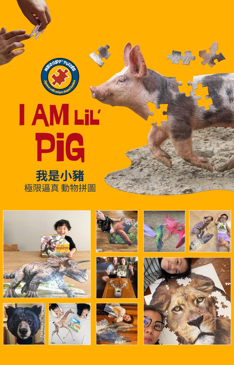 Madd Capp - I AM 動物拼圖-100,我是小豬