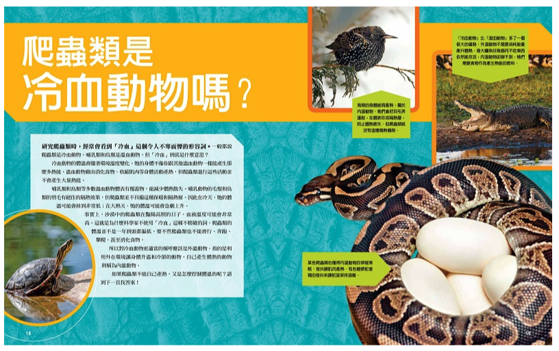 國家地理終極爬蟲百科 (精裝 /272頁 /全彩印刷)