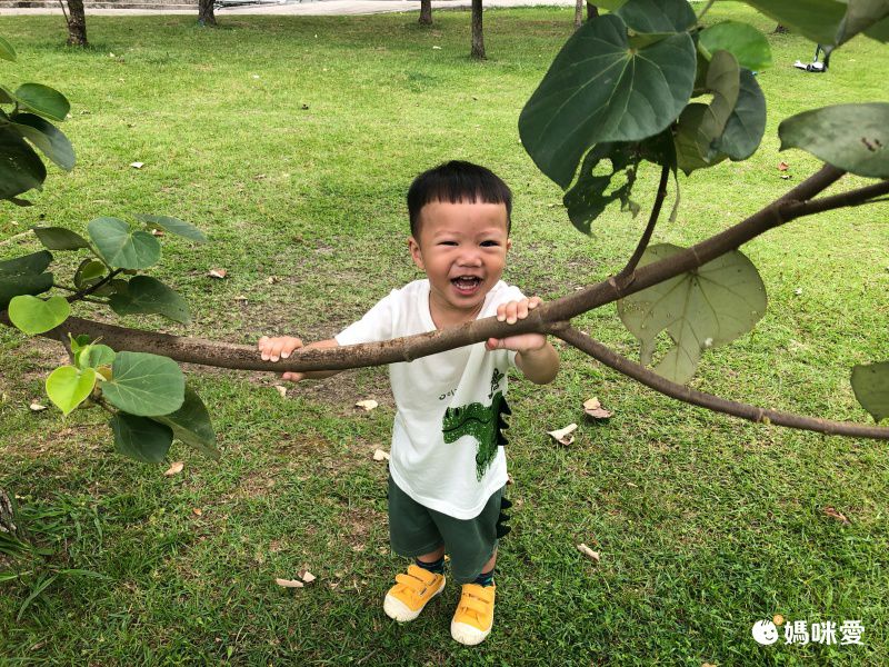 恐龍純棉短袖上衣短褲套組-白Ｘ綠