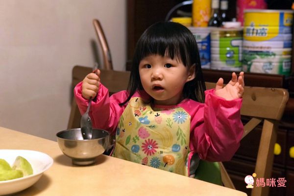 美國 green sprouts - 魔鬼氈雙面防水/防食物掉落長袖圍兜單入組-甜蜜花園