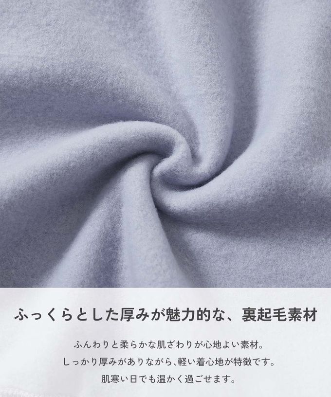 日本 devirock - 裏起毛動物印花大學T-老虎-淺灰