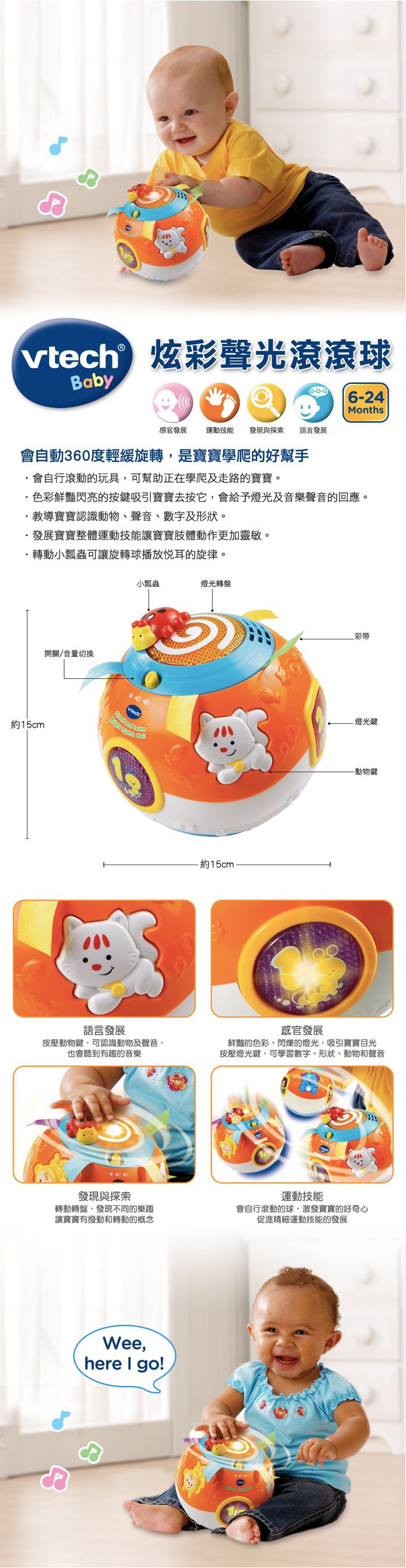 Vtech - 炫彩聲光滾滾球-橘色