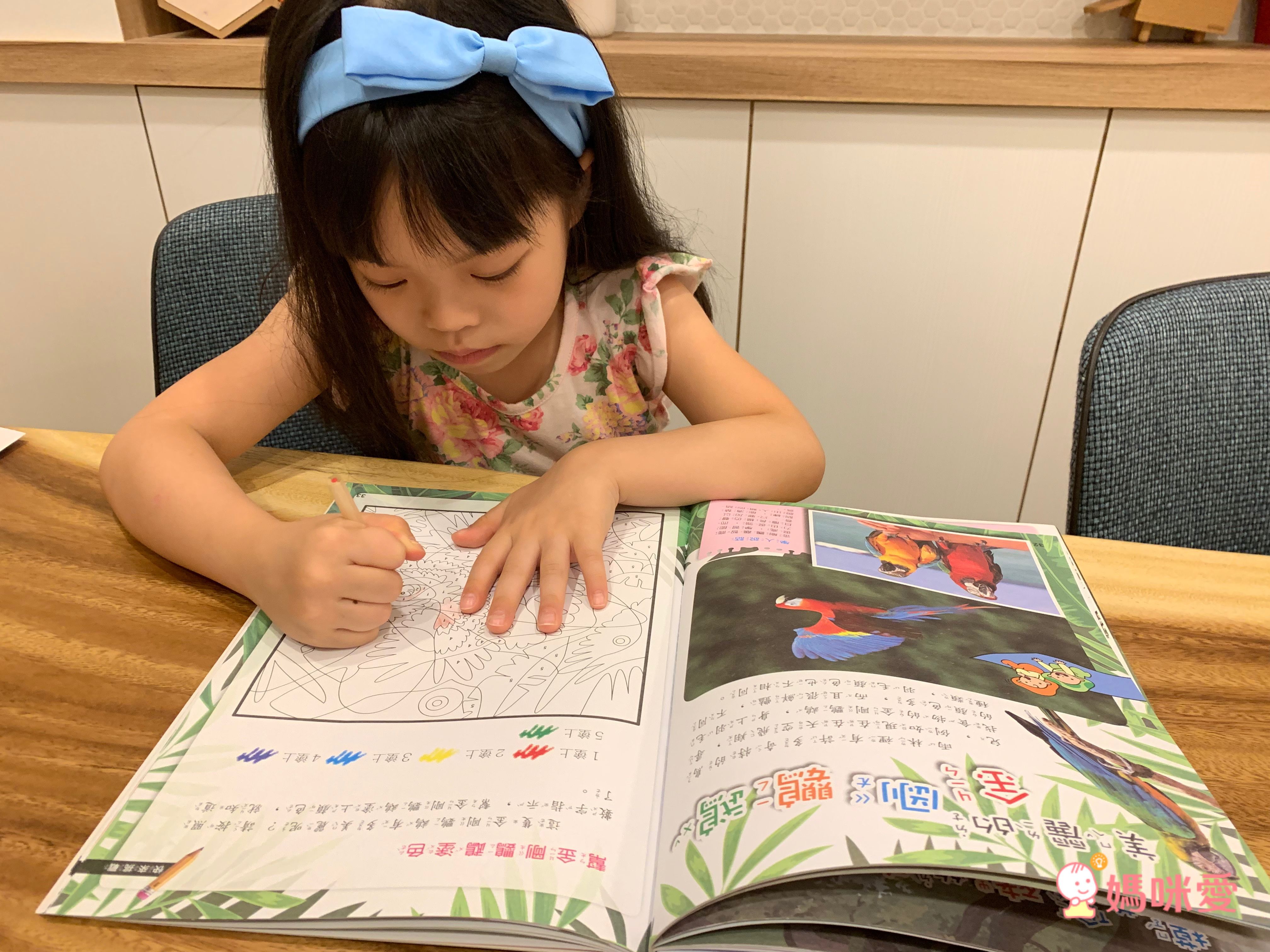 小牛頓科學教育有限公司 - PLAY&LEARN套書-平裝/附注音/貼紙+紙卡-全彩 (5-8歲)-全套二冊