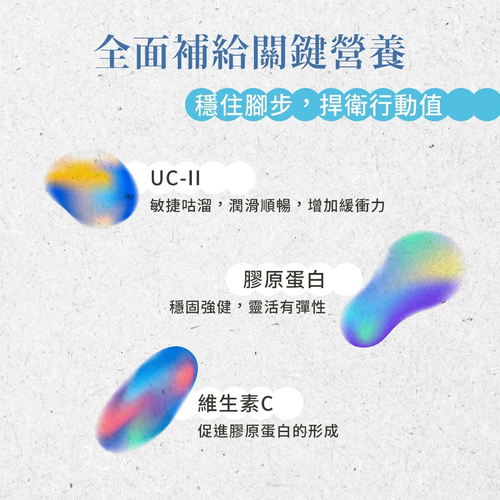 Sanct Bernhard 德國百年草本-UC-II 非變性第二型膠原蛋白 (60顆/罐)