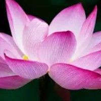 用戶頭像