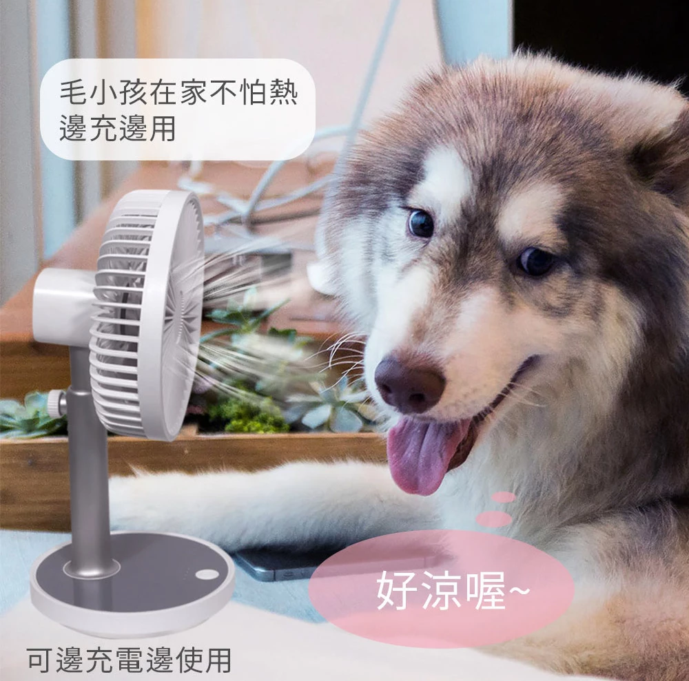 Jway - 七吋自然風USB長效桌立扇-JY-FN301-白