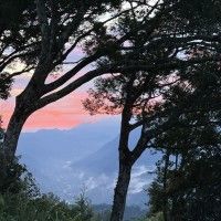 用戶頭像