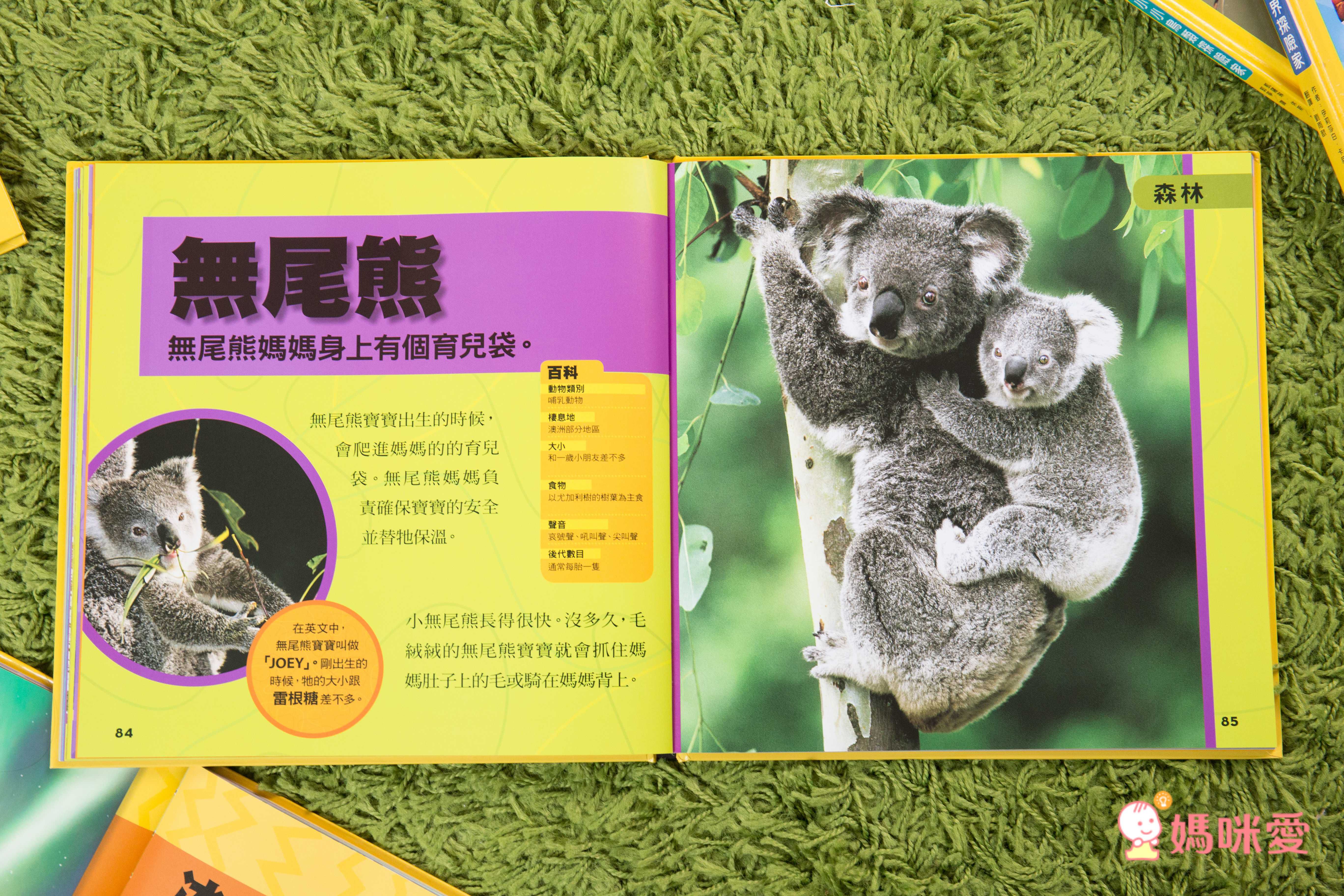 小小動物探險家 (精裝 / 128頁 / 全彩印刷)