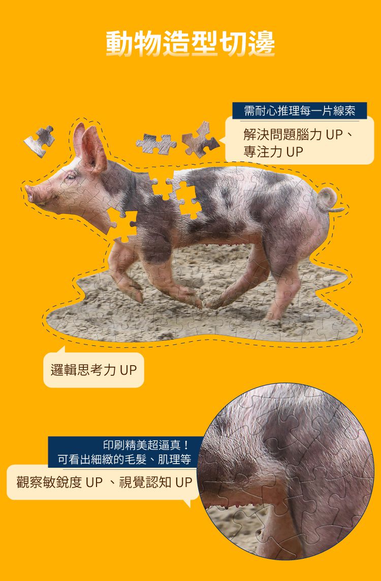 Madd Capp - I AM 動物拼圖-100,我是小豬