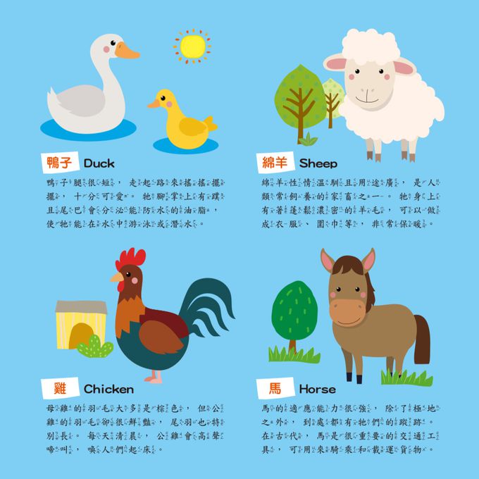 立體拼貼遊戲-農場動物