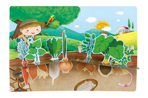 世一文化 - 地底蔬菜立體書