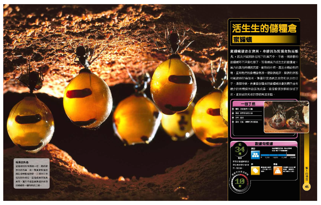 超能力昆蟲百科：地球上最大、最快、最致命的昆蟲與節肢動物 (精裝 / 208頁 /全彩印刷)