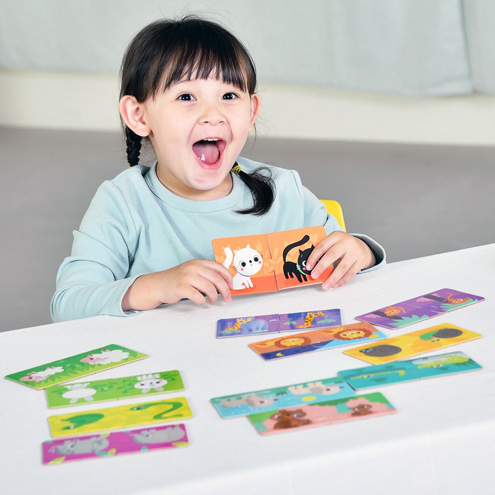 西班牙 APLI - 二分之一拼圖-對比關係