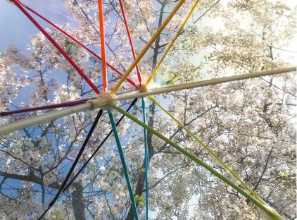 日本Caetla - Evereon 可替換式環保輕量傘-彩虹系列-白色