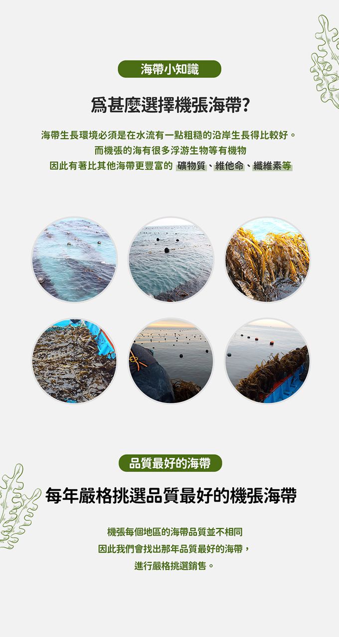 韓爸田園日記 - 愛心海帶禮盒-4入(20g/入)