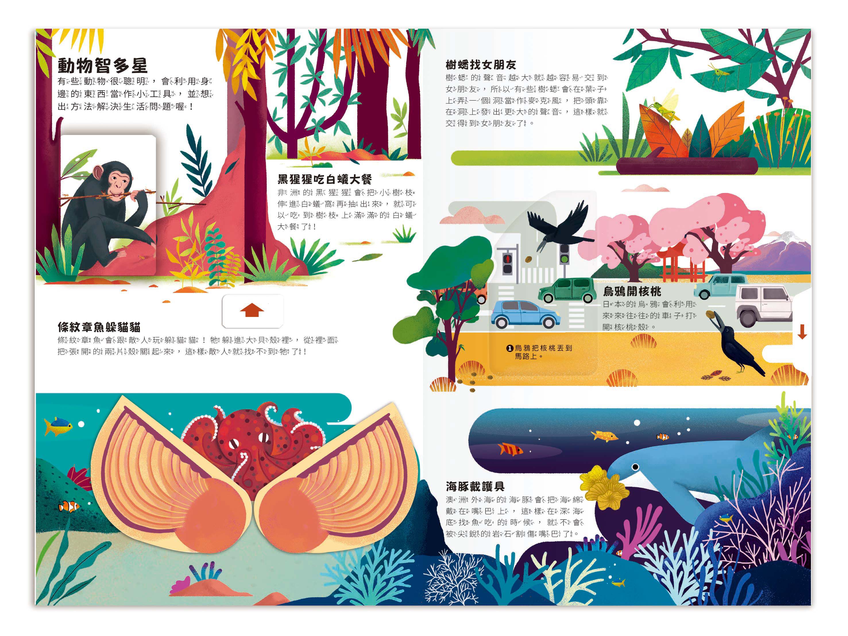 小小知識家動手大發現-動物AMAZING