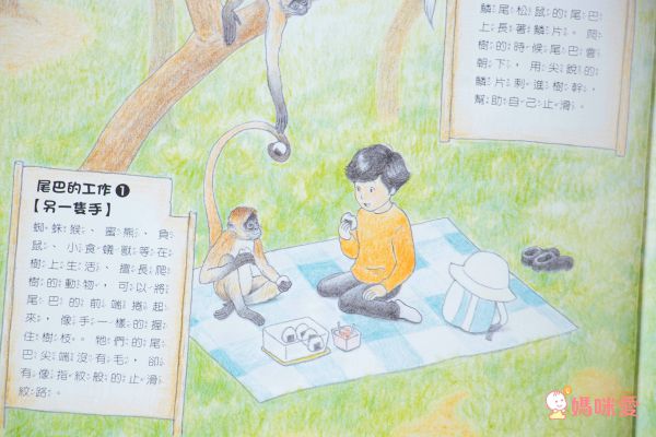 科學不思議1：昆蟲量體重