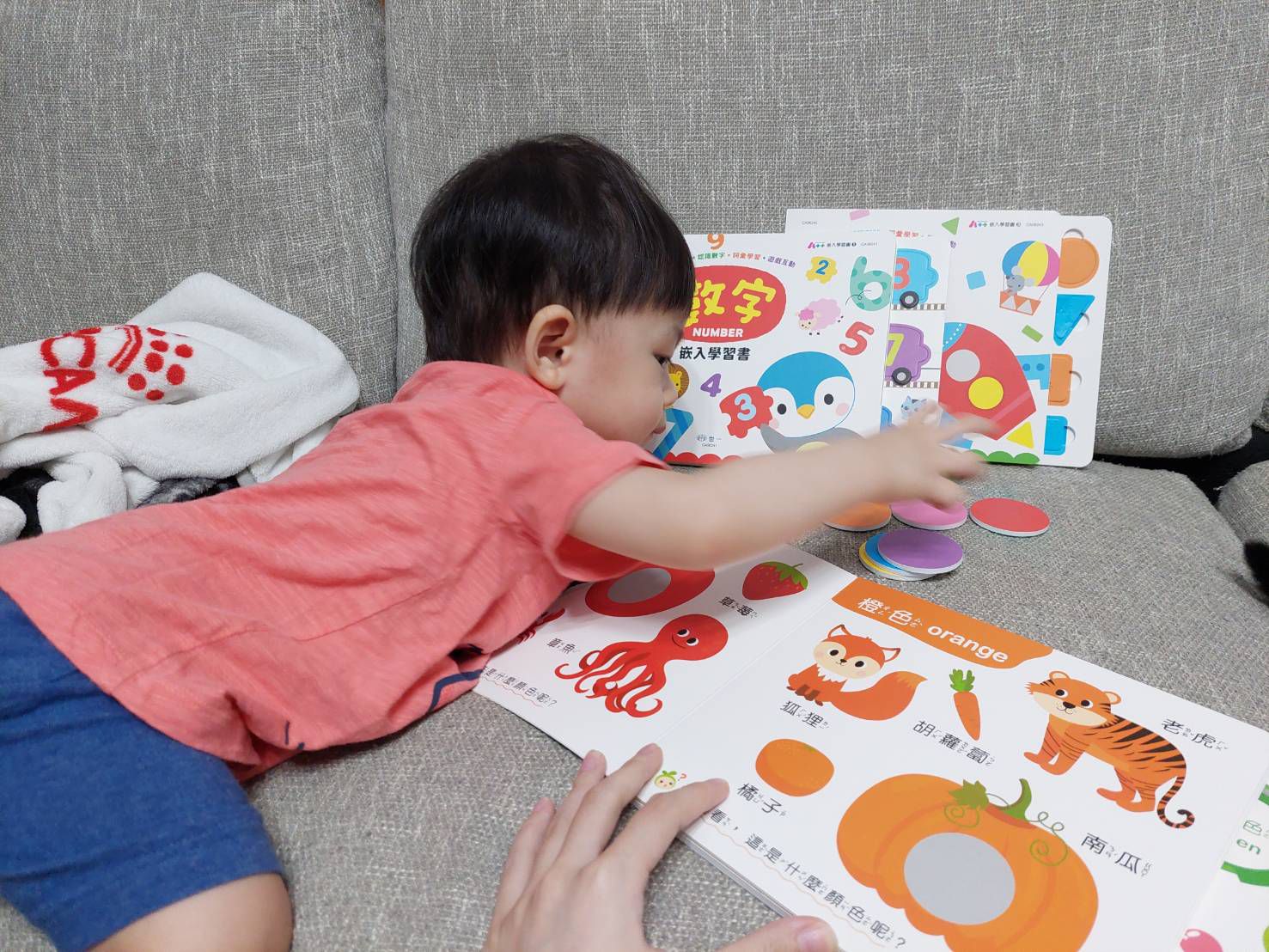 形狀嵌入學習書