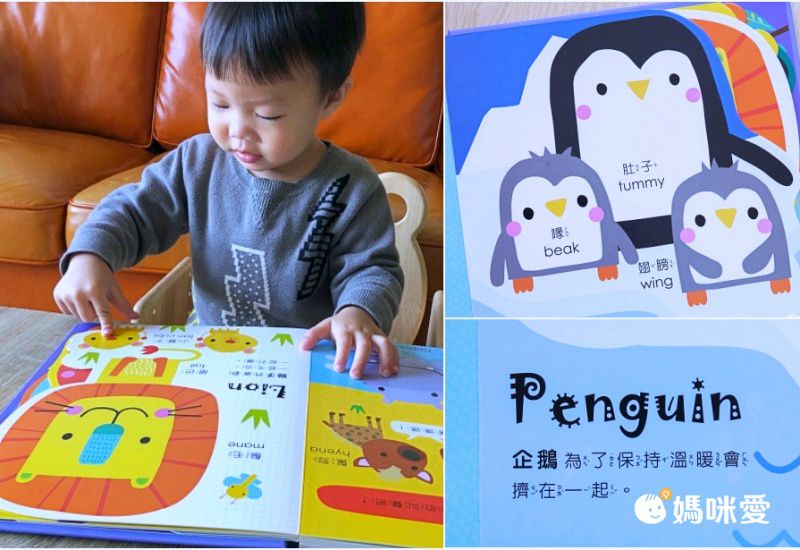 禾流文創 - Amazing!變形認知書 3本一套-變形恐龍認知書+變形動物認知書+變形魔法認知書