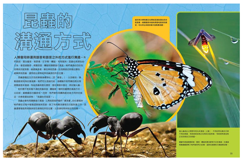 國家地理終極昆蟲百科 (精裝 /272頁 /全彩印刷)