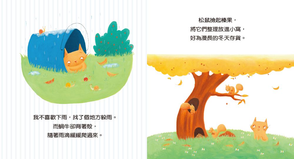 寶寶成長的第一本書1~4盒裝套書-最受法國父母推薦的啟蒙繪本