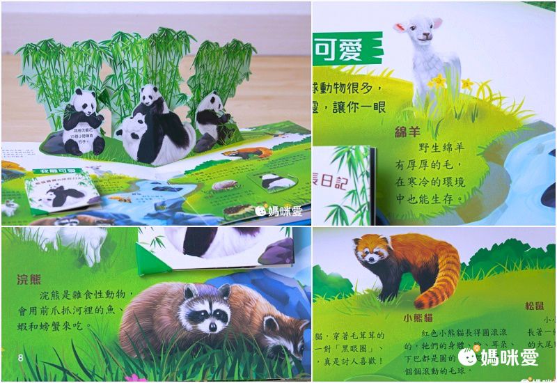 3D立體有聲書-動物星球