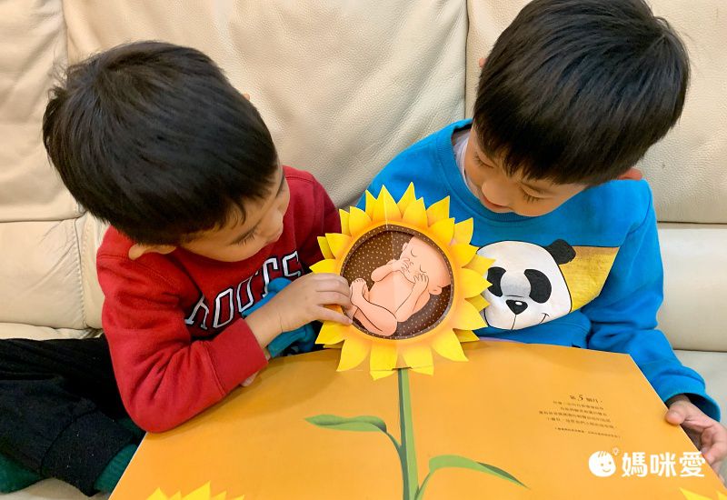 你在媽媽肚子裡的樣子―1：1真實比例小寶寶立體書（立體封面典藏版）