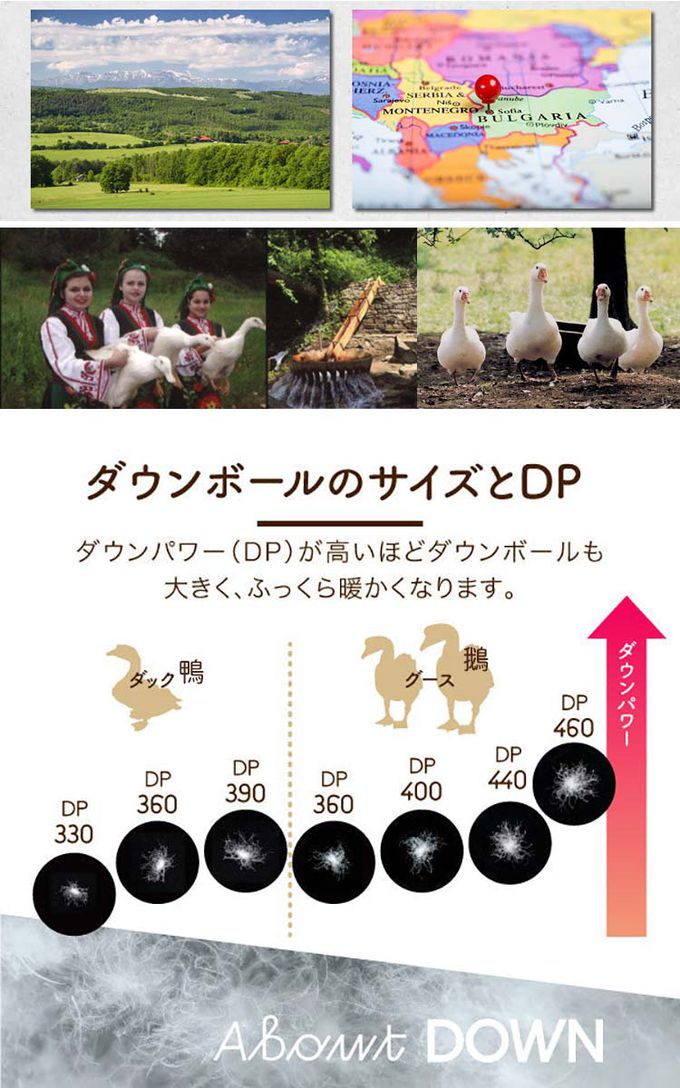 ROMANCE 小杉 - 日本製保加利亞輕量保暖白色羽絨被150x210cm